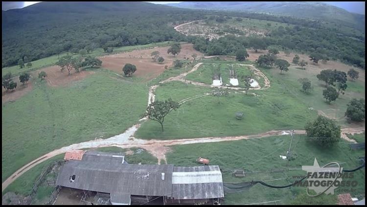 Fazenda a Venda em Buritis - MG