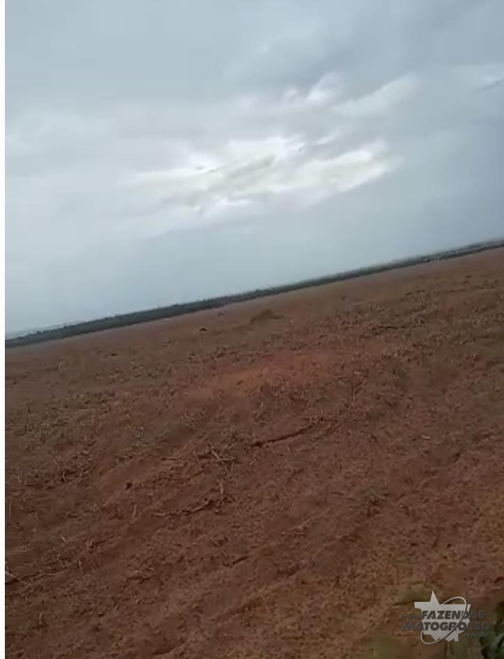 Fazenda a venda em Gaúcha do Norte - MT