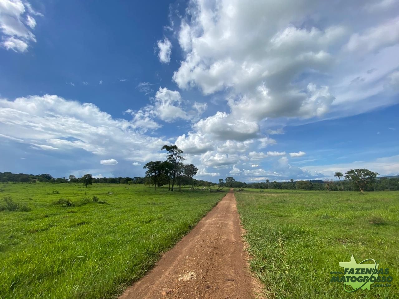 Fazenda a venda em Barra do Garças