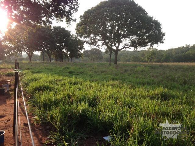 Fazenda a venda em Peixoto de Azevedo - MT