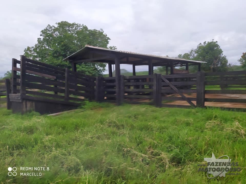 Fazenda a venda em Baliza - GO