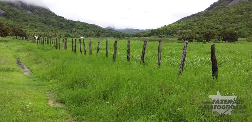 Fazenda a venda no Nordeste de Minas Gerais/MG