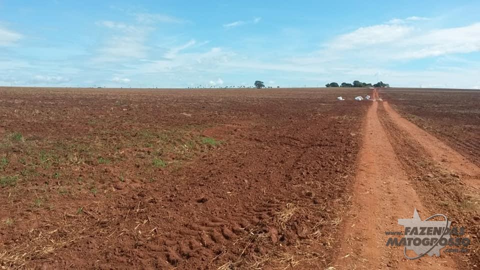 Fazenda a venda em São Paulo