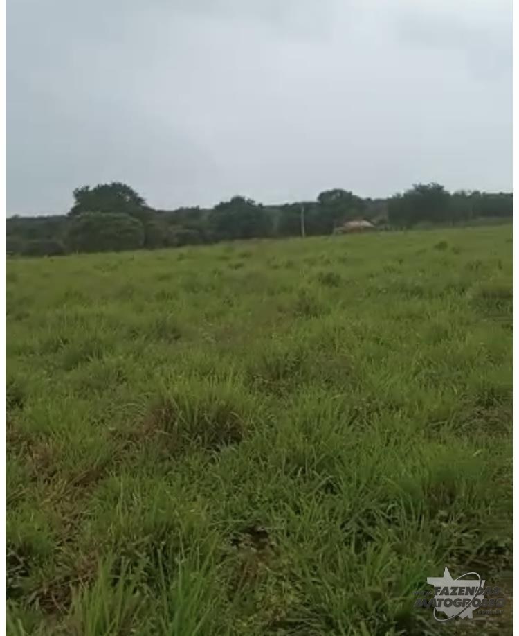 Fazenda a venda ótima para lavoura Gaúcha do Norte