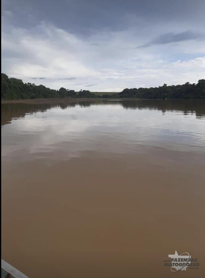 Fazenda a venda em Campinápolis/MT