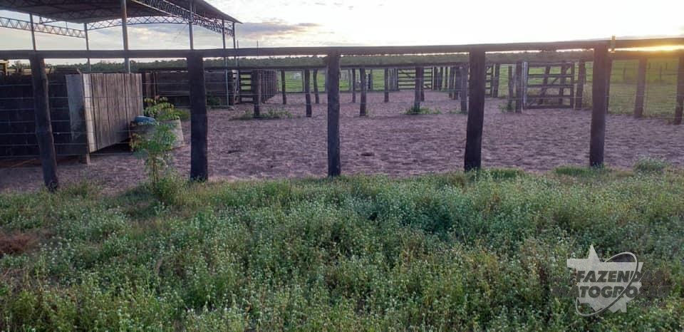 Fazenda a venda em Brasilândia do Tocantins - TO