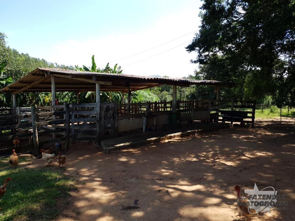 Fazenda no município de Resende Costa - MG