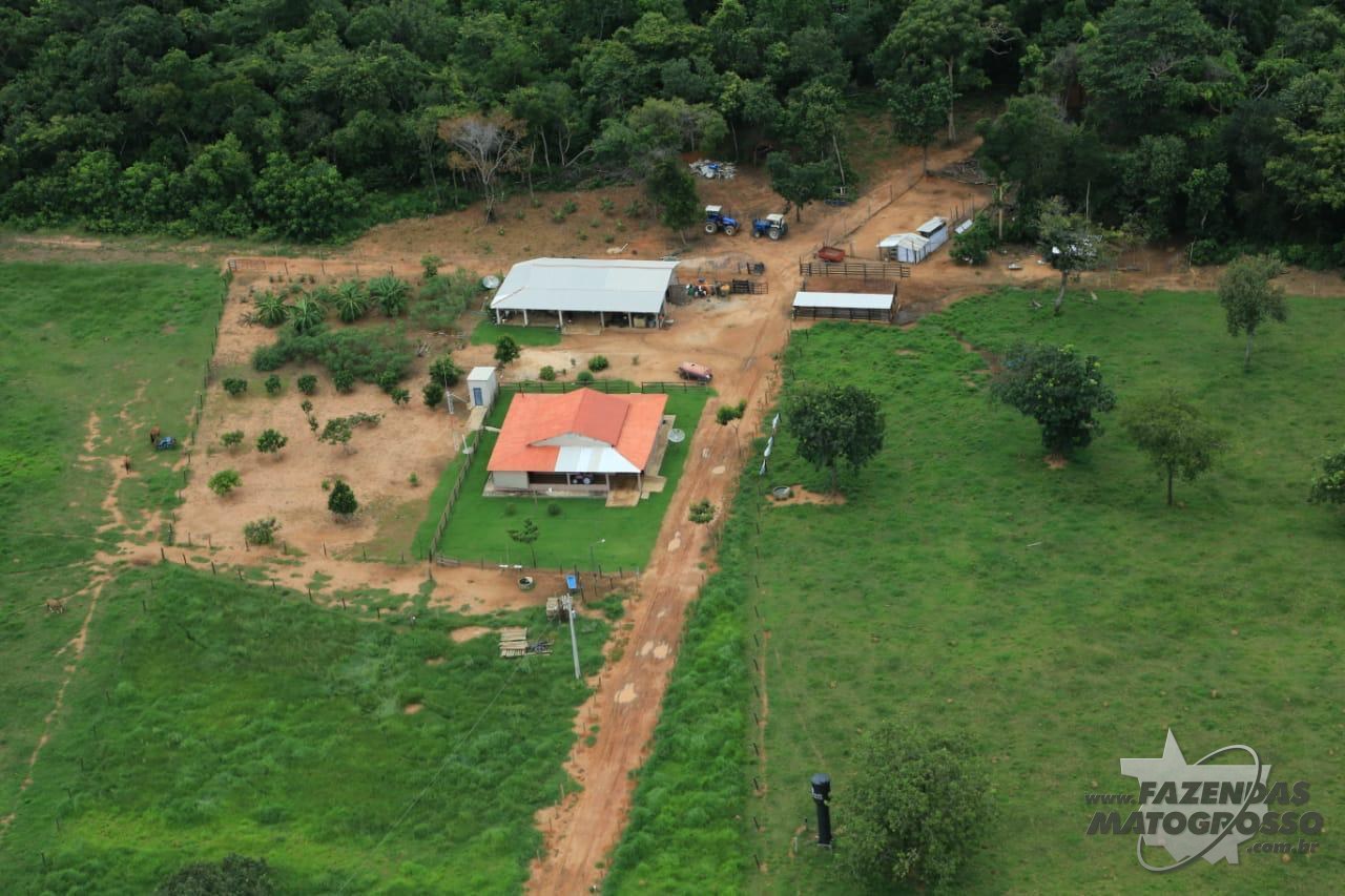 Fazenda a venda em Ribeirão Cascalheira - MT
