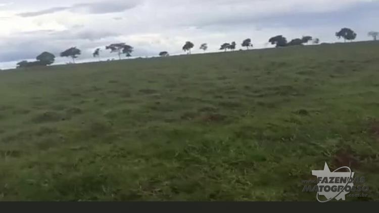 Fazenda a venda em Caiapônia-GO