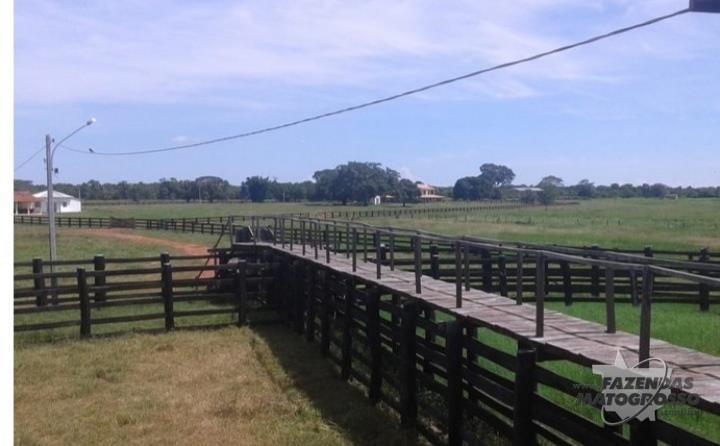 Fazenda a venda em Poconé-MT