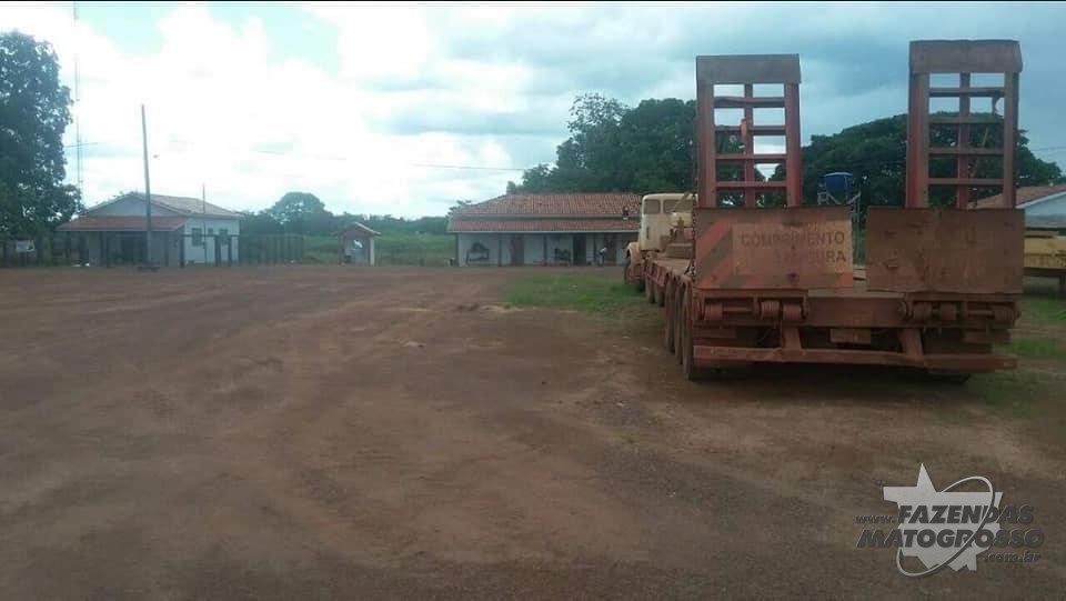 Fazenda a venda em Santa Terezinha-MT