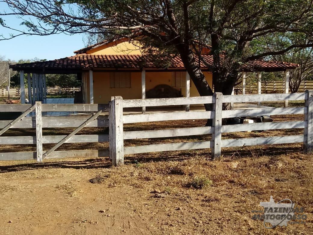 Fazenda a venda em Primavera do Leste - MT
