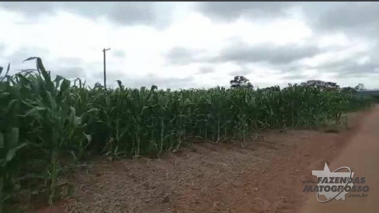 Fazenda a venda em Itupeva - SP