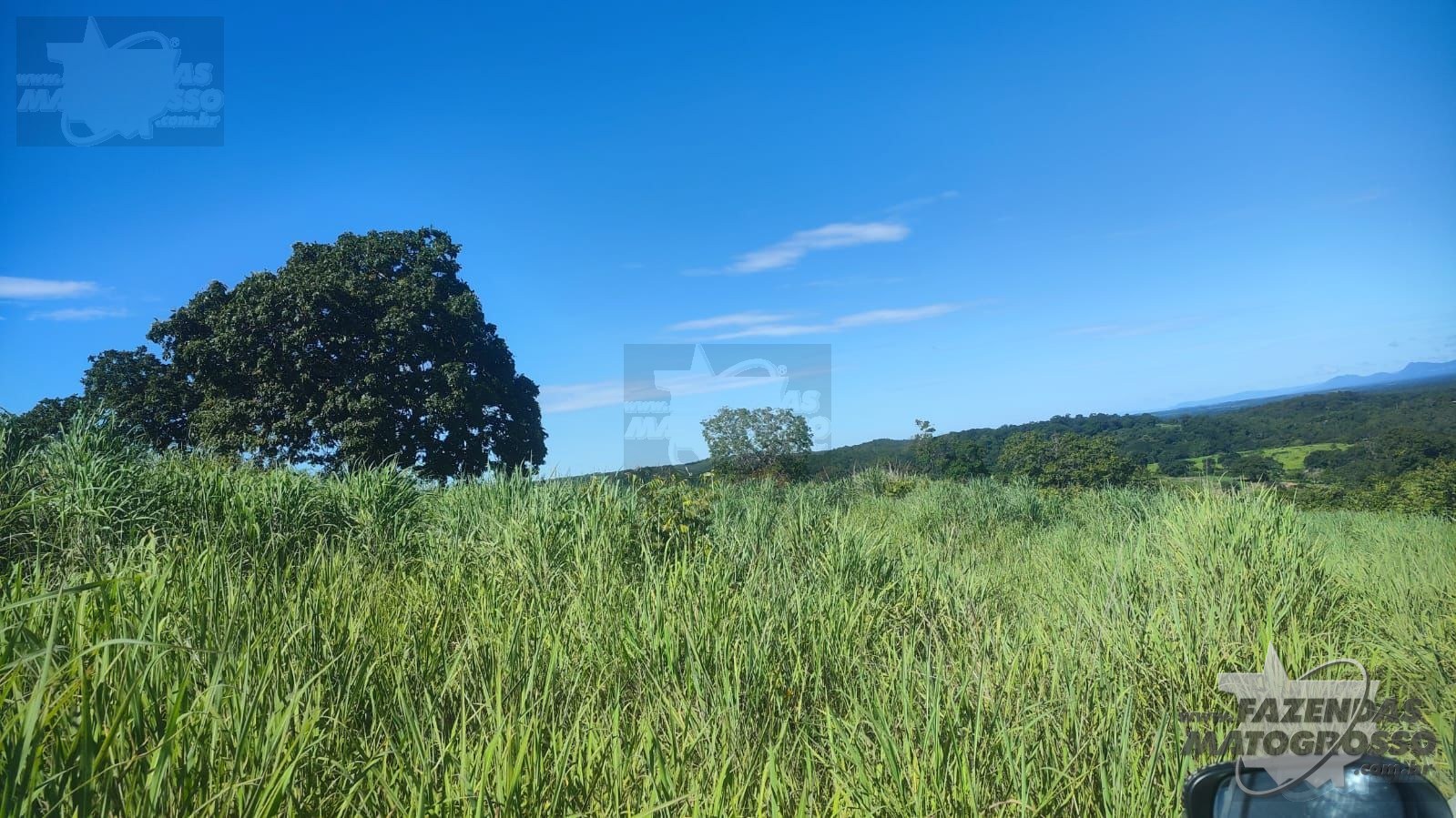 Fazenda a venda em Nossa Senhora do Livramento-MT