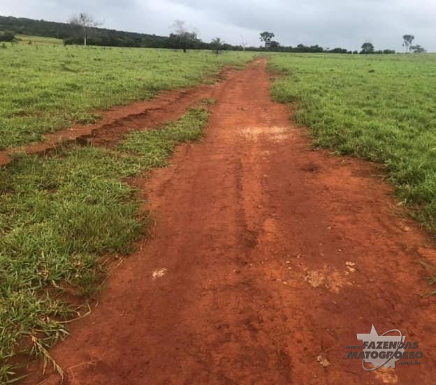 Fazenda a Venda em General Carneiro - MT