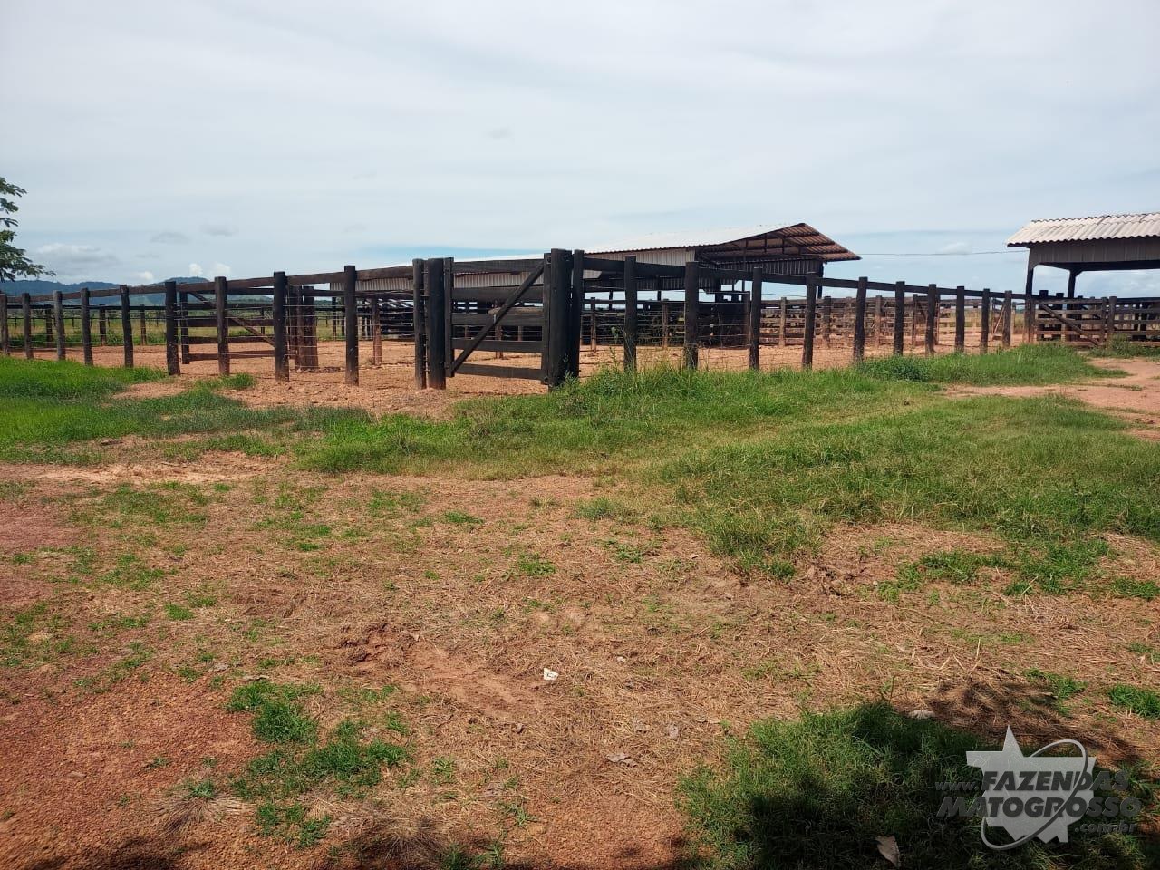 Fazenda a Venda em Xinguara - PA