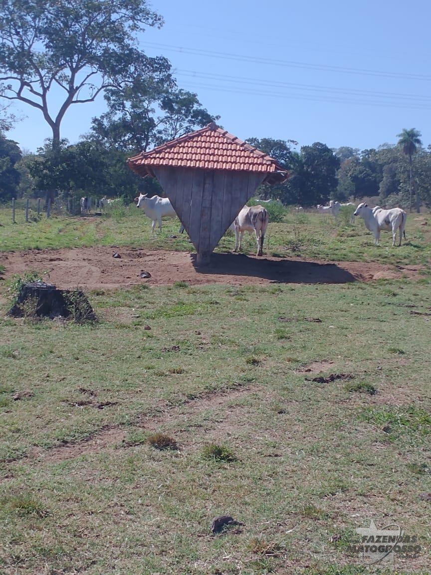 Fazenda a venda em Baliza - GO