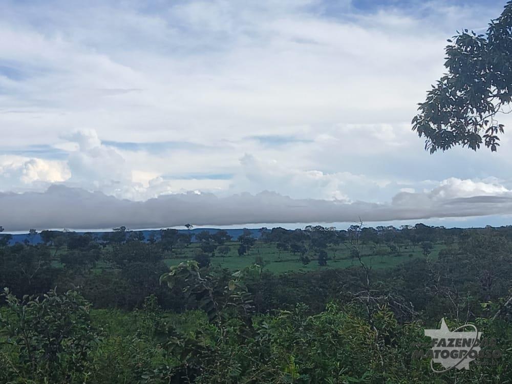 Fazenda a venda em Tesouro - MT