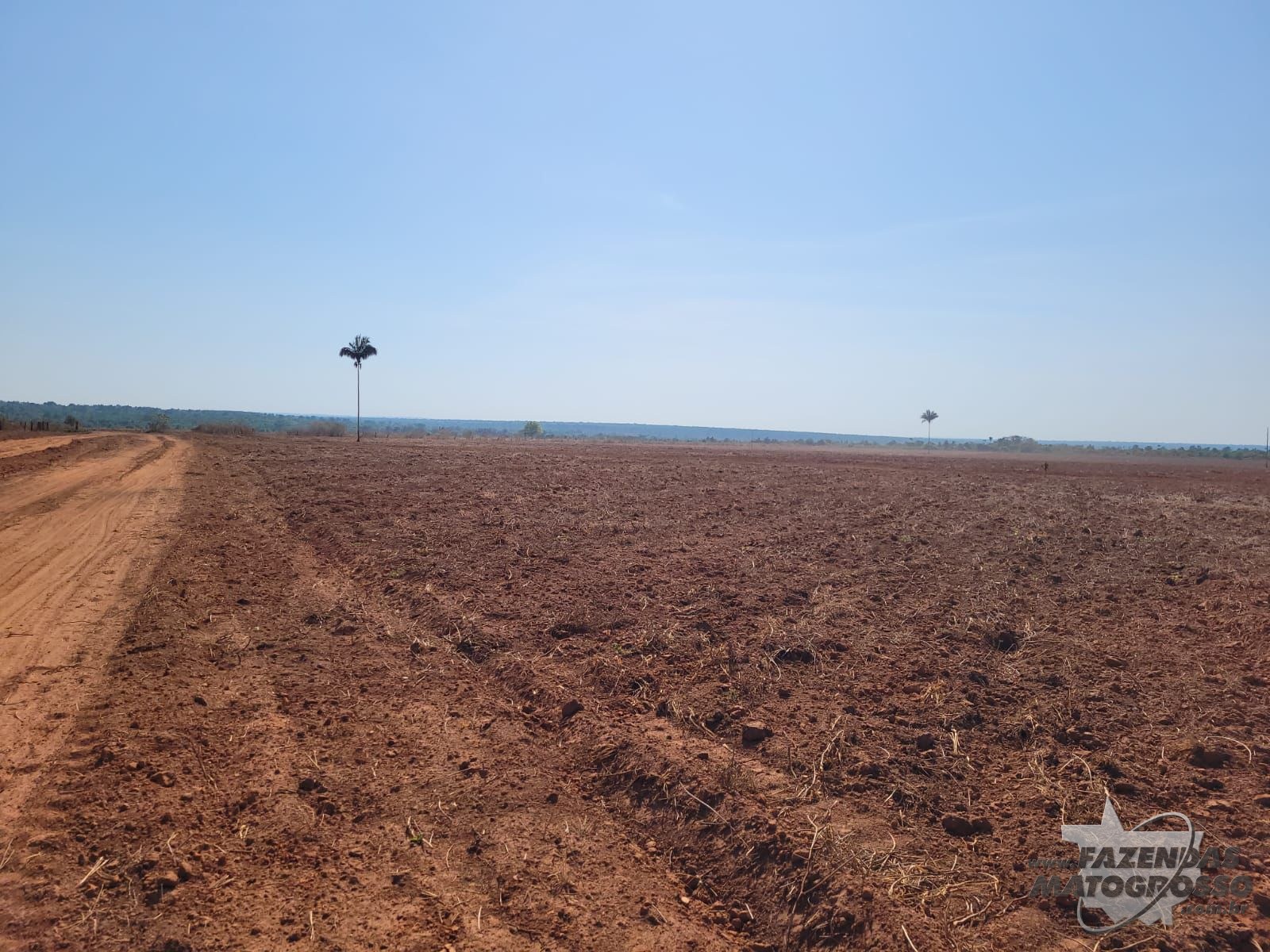 Fazenda para arrendamento em São José do Xingu - MT