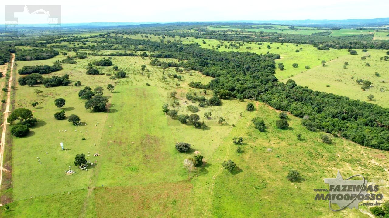 Fazenda a venda em Araguainha-MT