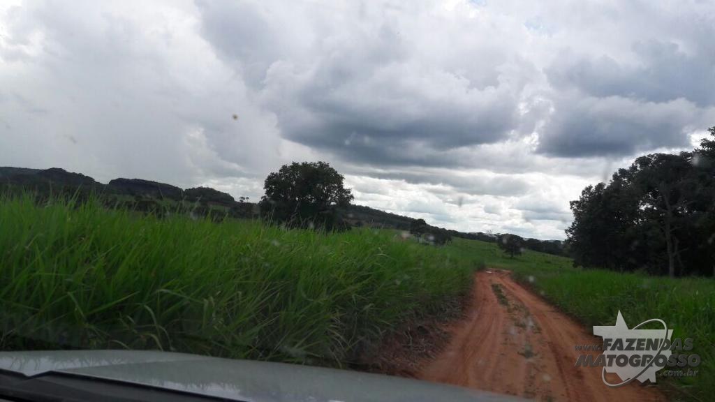 Fazenda a venda em Poxoréo - MT
