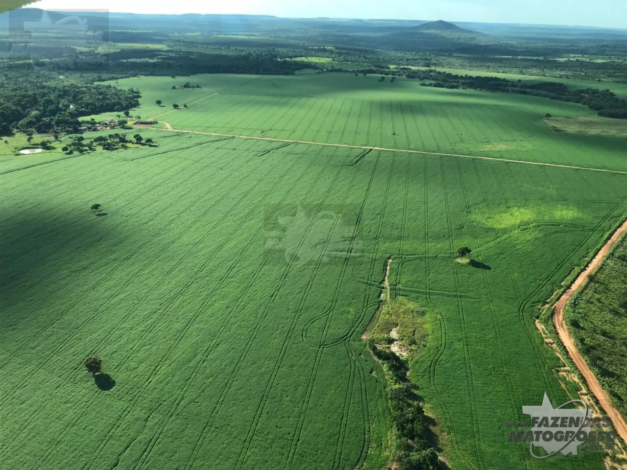 Fazenda a venda em Paranatinga-MT