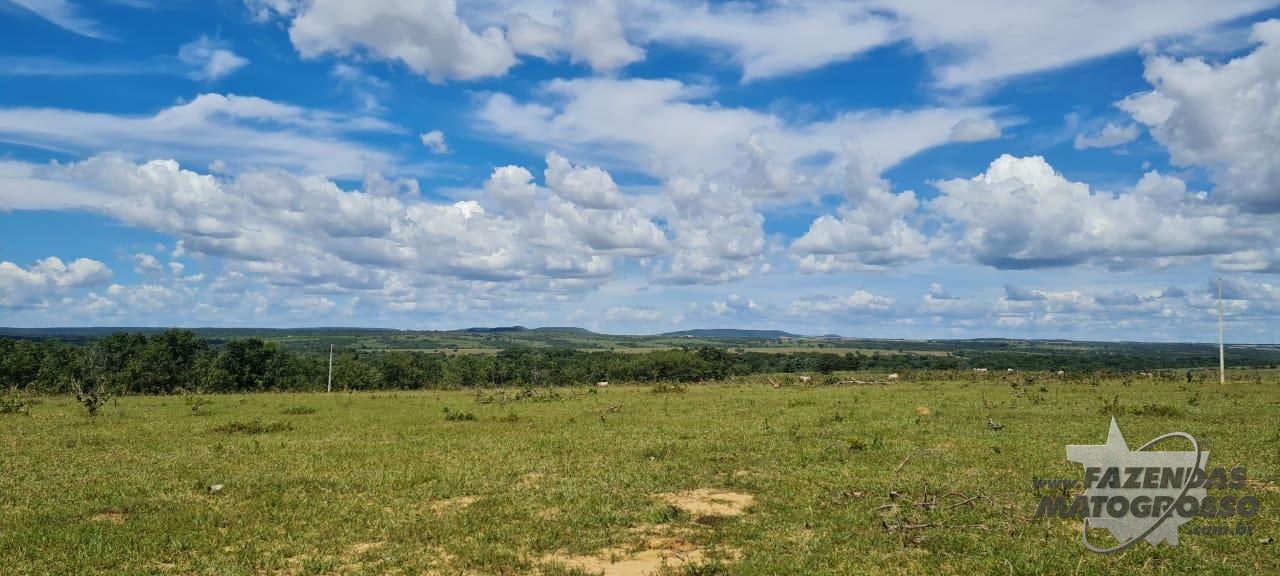 Fazenda a venda em Paranatinga-MT