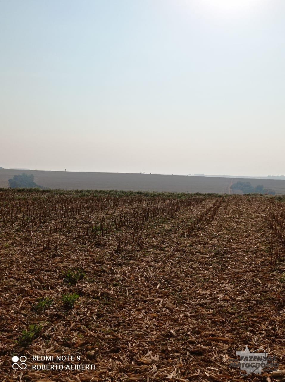 Fazenda para lavoura a venda em Toledo - PR