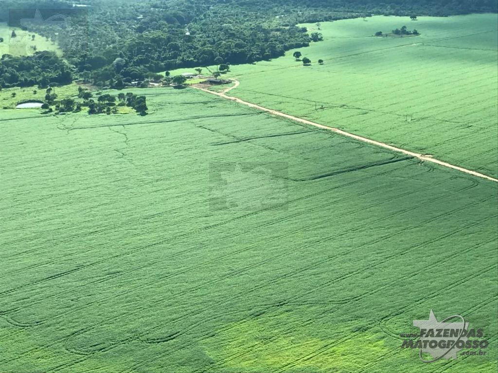 Fazenda a venda em São José do Rio Claro-MT