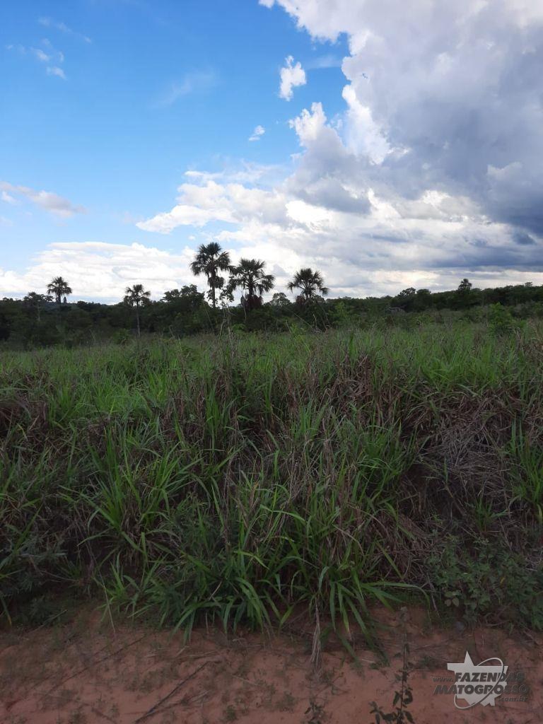 Fazenda a venda em Pontal do Araguaia - MT