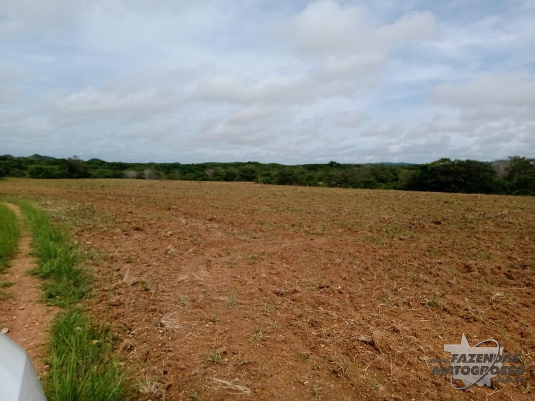 Fazenda a venda em Paranatinga-MT
