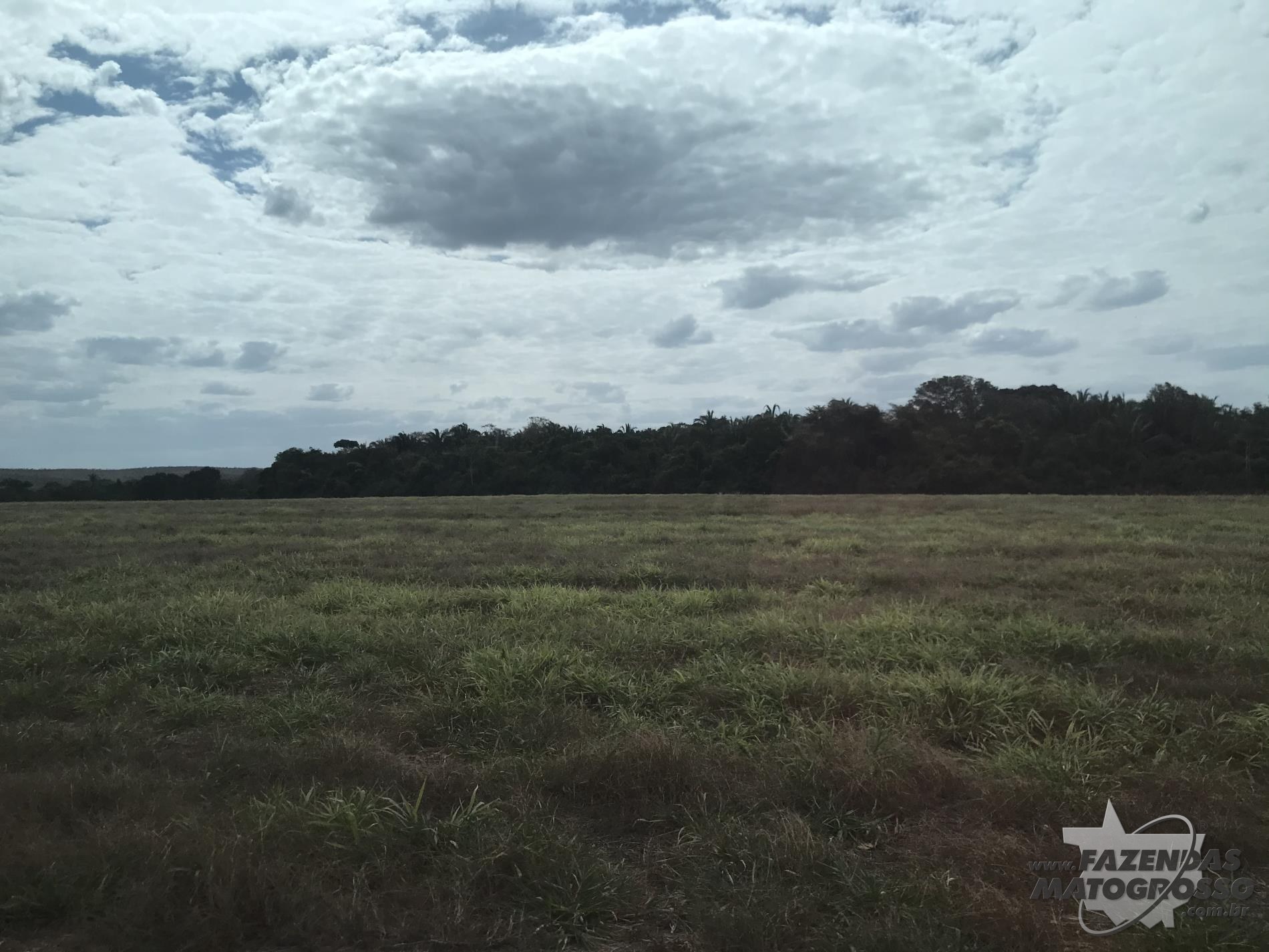 Fazenda a venda em Paranatinga - MT
