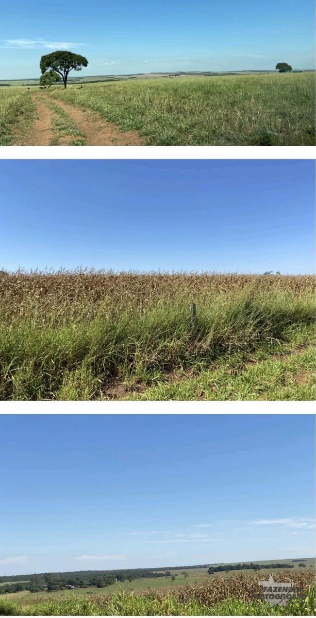 Fazenda a venda em Camapuã - MS