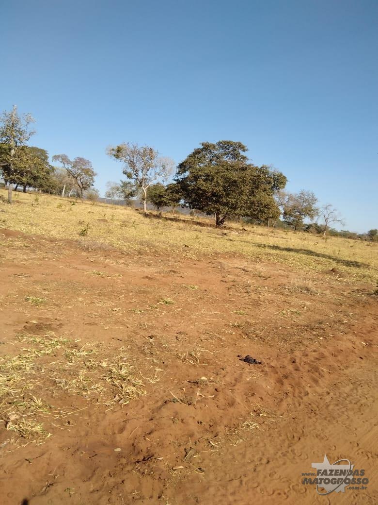 Fazenda a venda em Torixoréu - MT