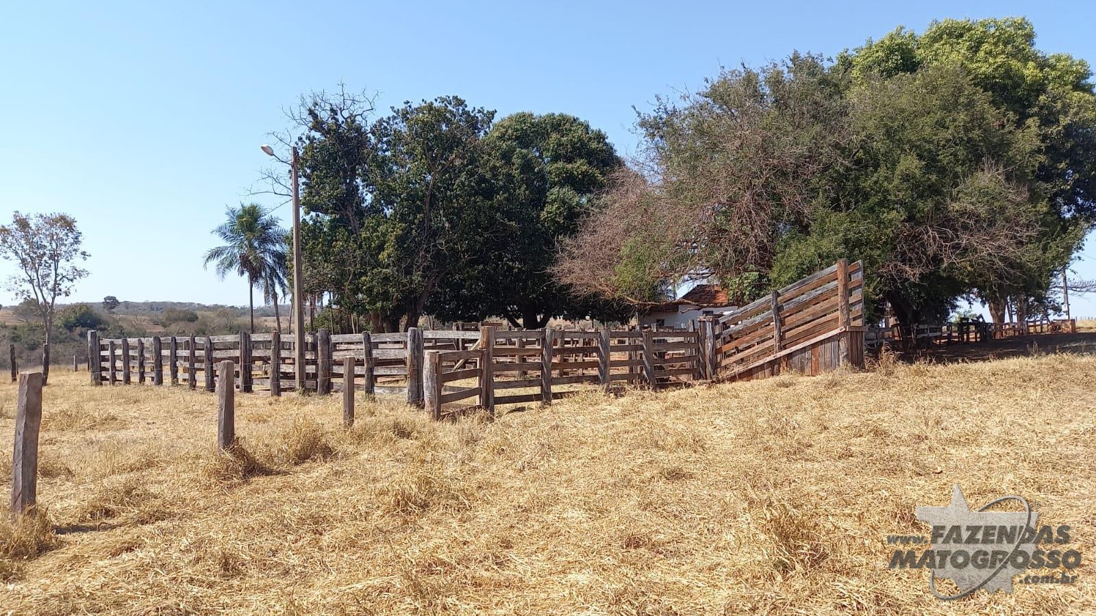 Fazenda a venda em Paraíba - MS
