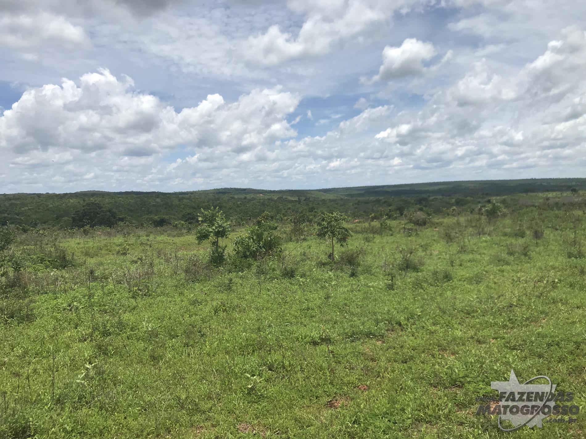 Fazenda a venda em General Carneiro - MT